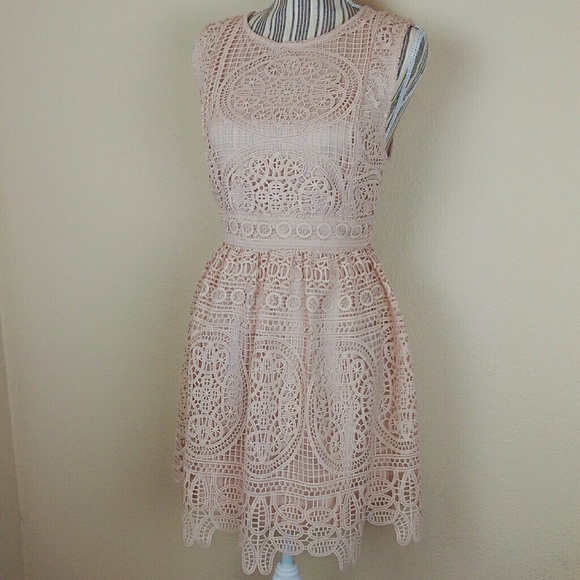 miami Dresses & Skirts - NWOT Miami | Blush/Nude Pink Lace Fit& Flare Dress